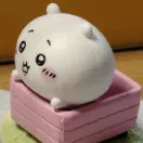 shimoyake*:irai_bosyuu_tyuu: